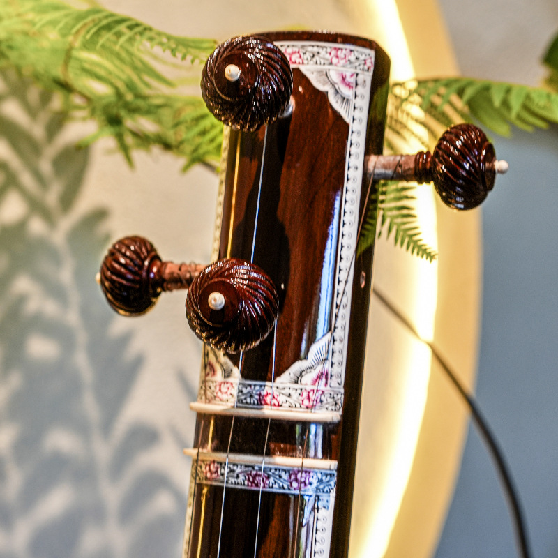 Handmade Sitar National Musica - Musical Instrument Sitar 리뷰 및 가격