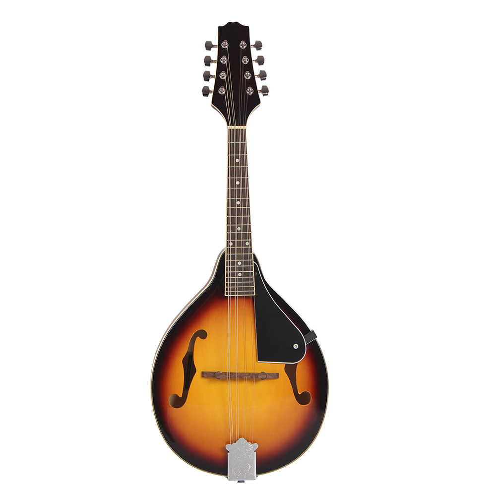 IRIN Mandolin 8-String Guitar  - Mandolin A Style 리뷰 및 가격