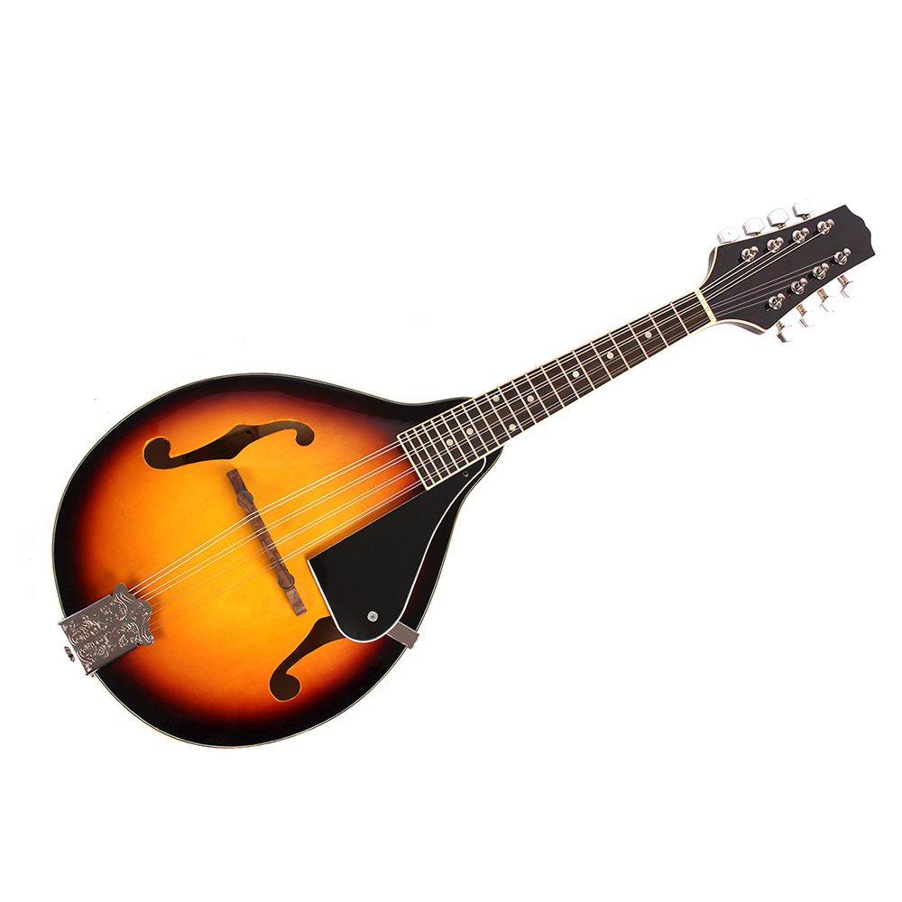 IRIN Mandolin 8-String Guitar  - Mandolin A Style 리뷰 및 가격