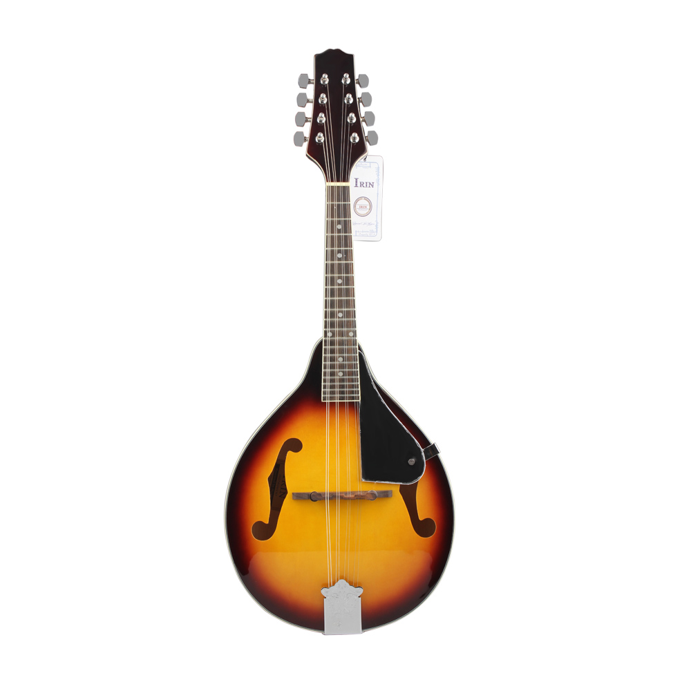 IRIN Mandolin 8-String Guitar  - Mandolin A Style 리뷰 및 가격