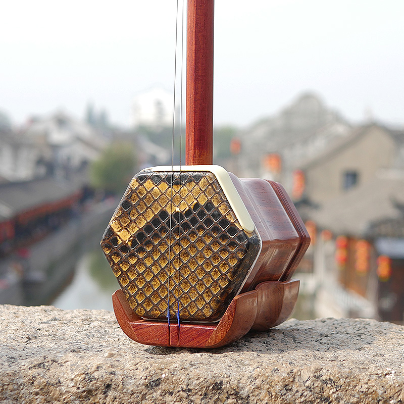 Professional Dunhuang Brand 06 - Musical Instrument All 리뷰 및 가격