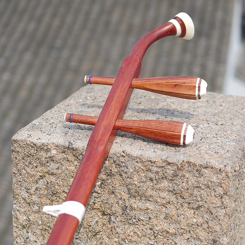 Professional Dunhuang Brand 06 - Musical Instrument All 리뷰 및 가격