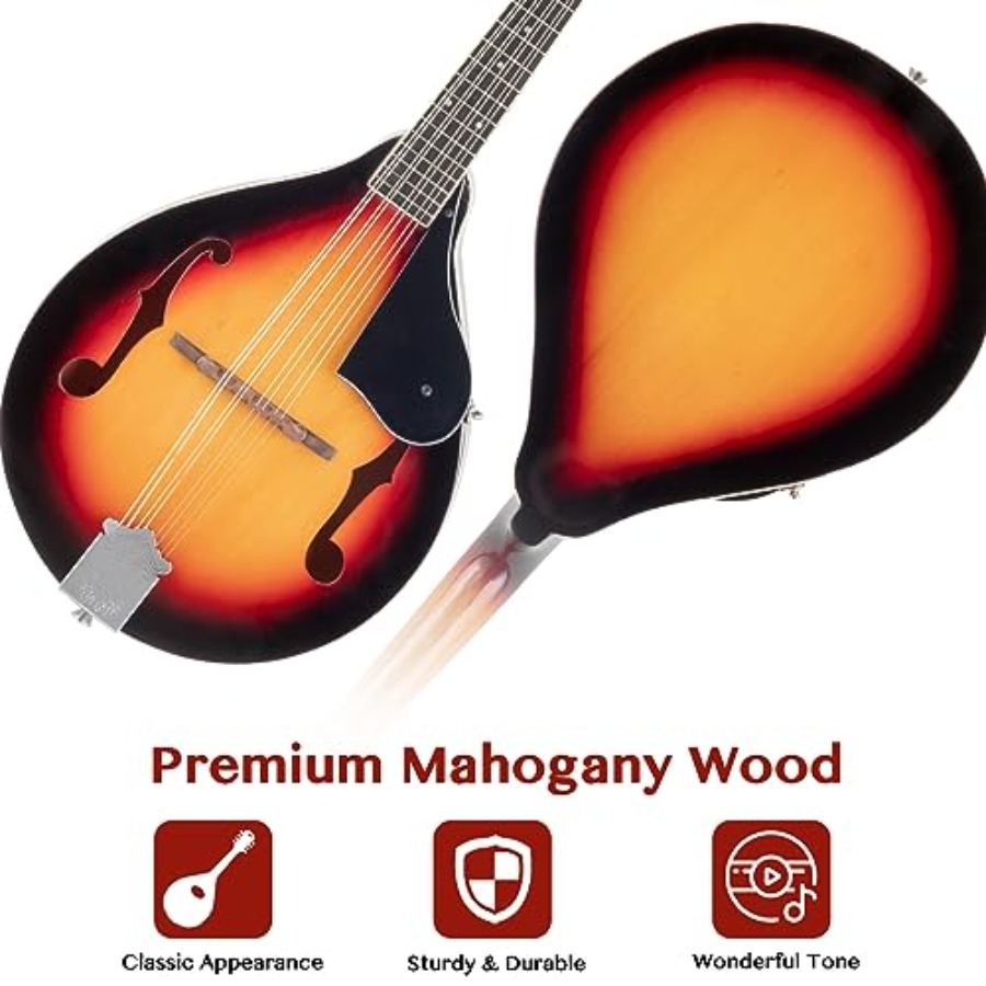 A-Style Mandolin Instrument Ki - Mandolin A Style 리뷰 및 가격