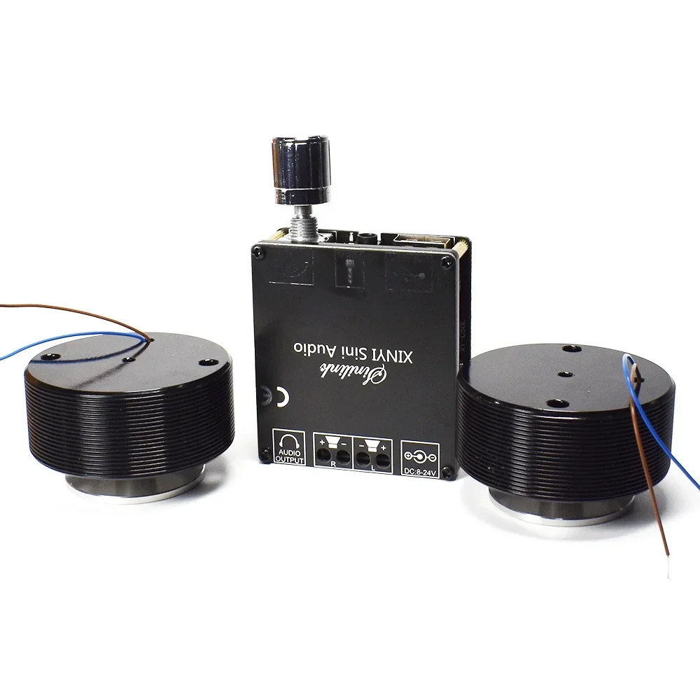 1 Set 50W 2.0 HIFI Vibration S - Musical Instrument Diy 리뷰 및 가격