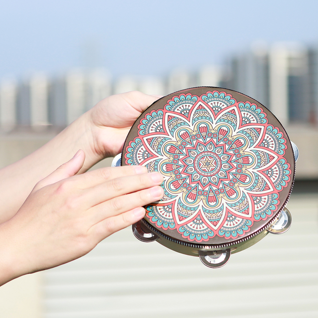 IRIN 8Inch Single Row Ancient  - Musical Instrument Tambourine 리뷰 및 가격